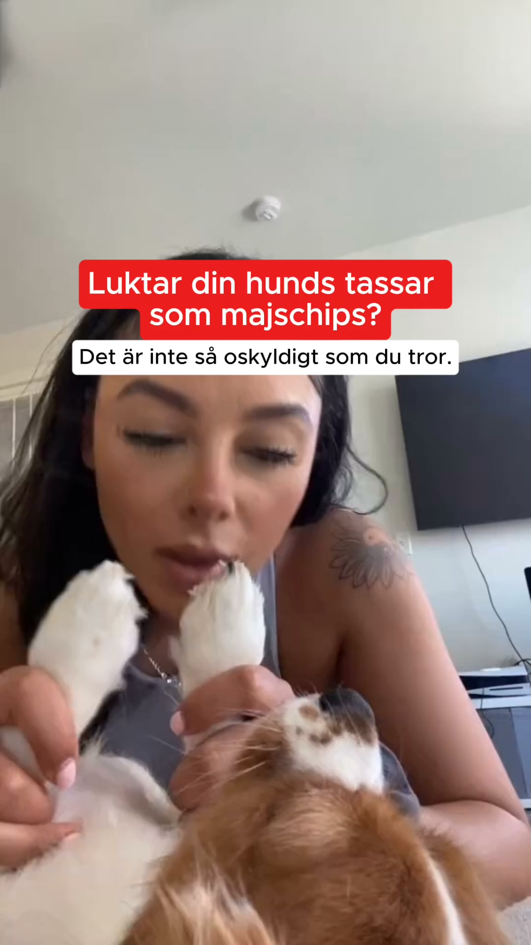 7 skäl till att det är samma problem
