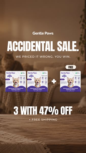 The Gentle Paws Accidental Sale