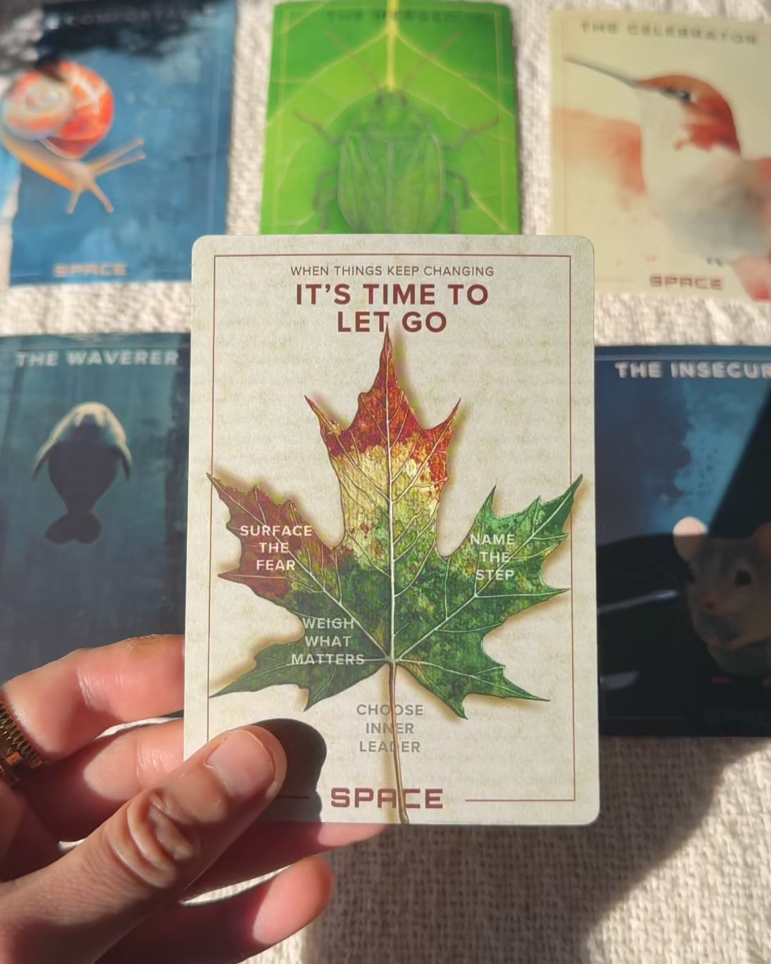 Space: Your Coach In A Box