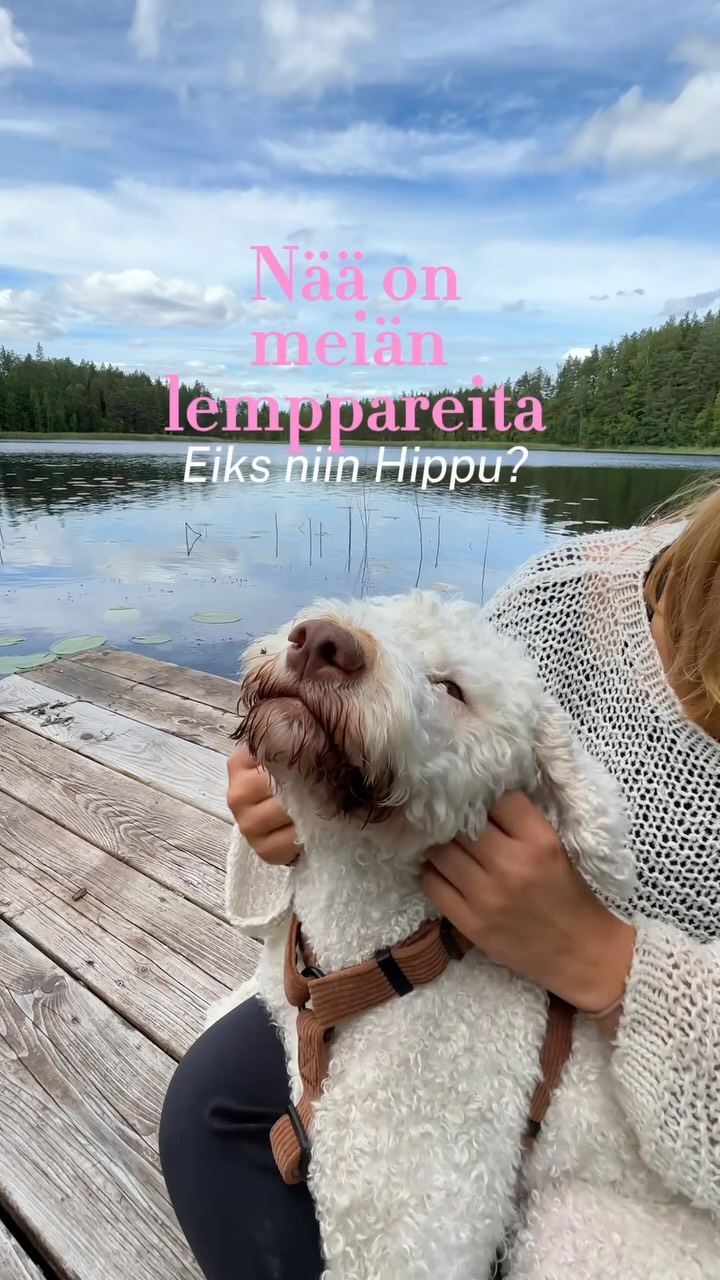 Anúncio de Woofy Dog Products