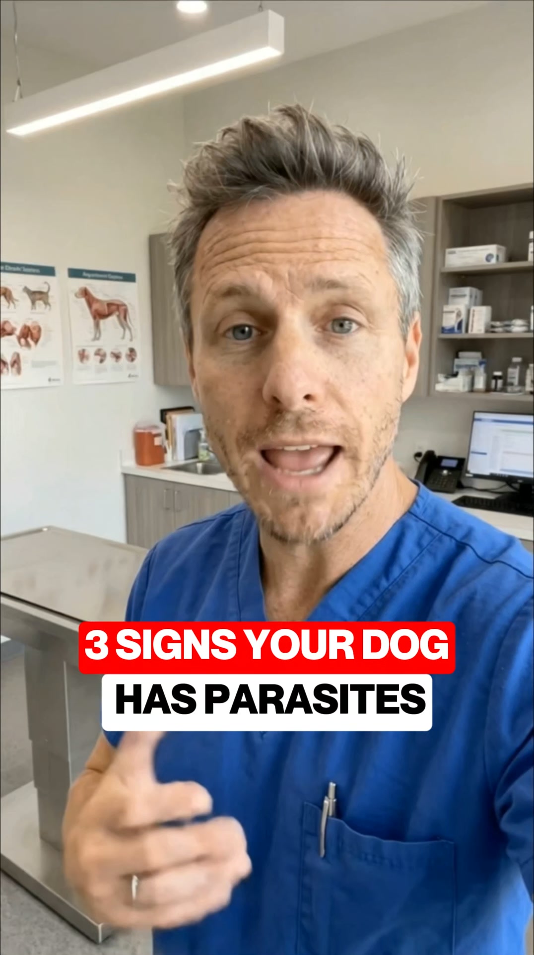Boost Your Dog's Health Today!