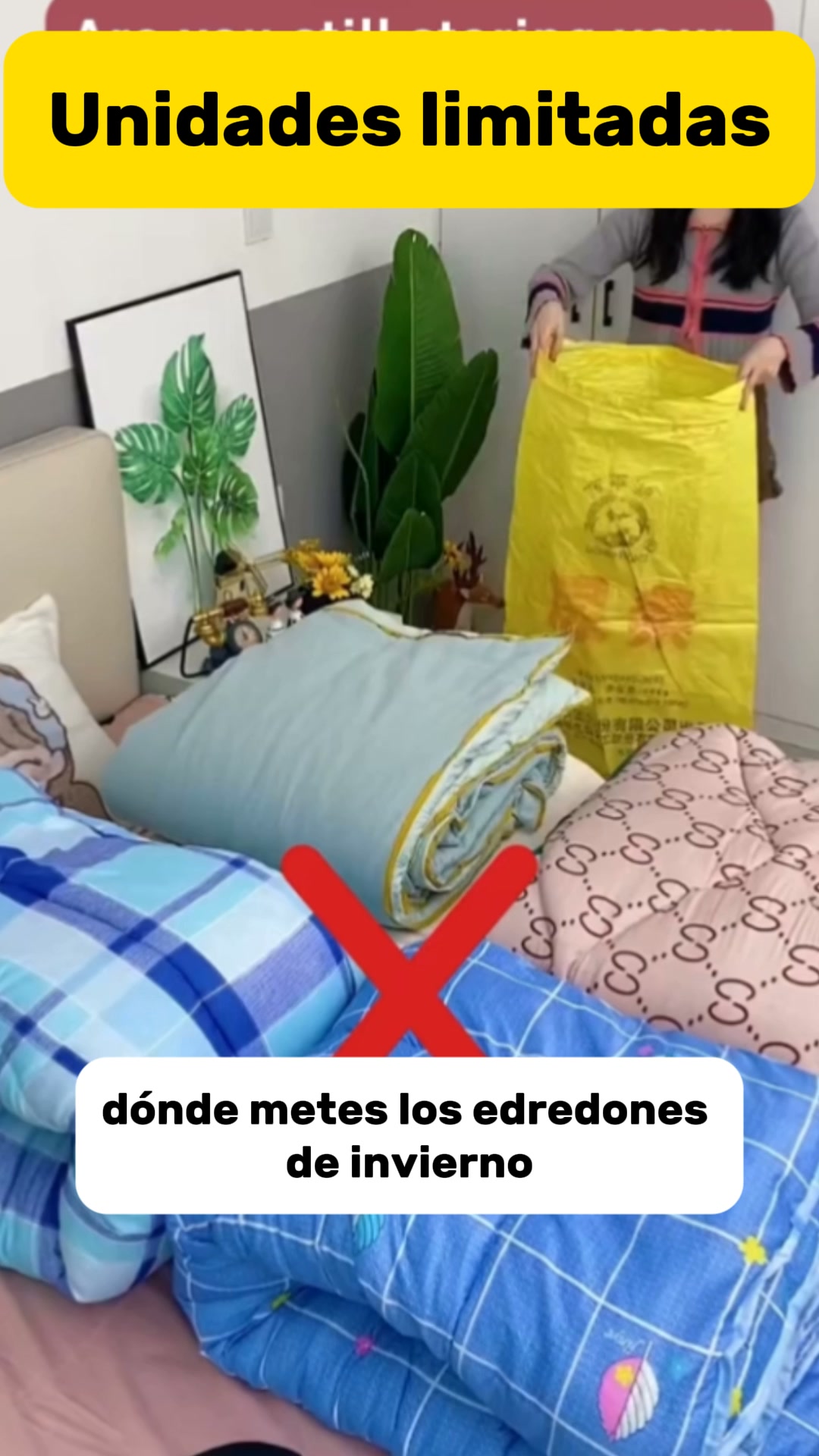 Envío Gratis 24/48h