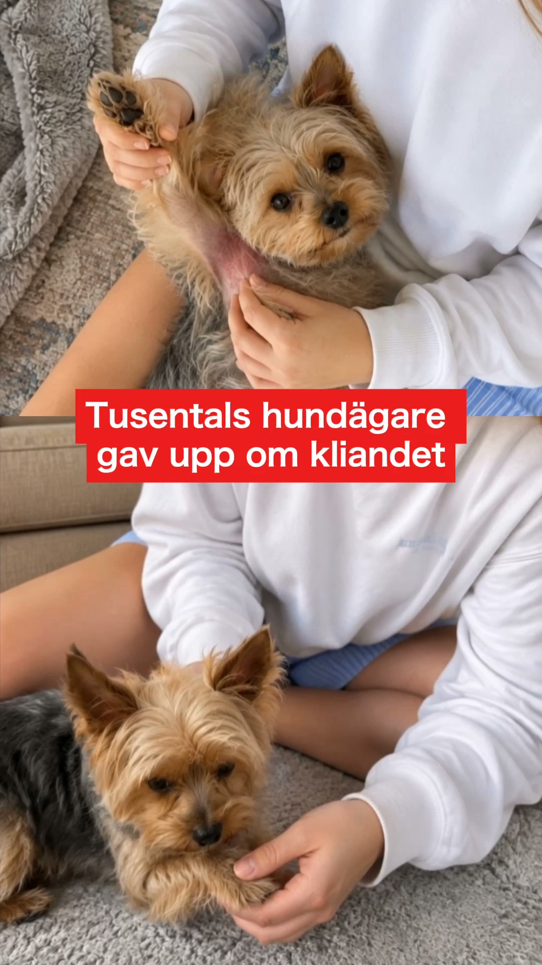 25,000+ hundägare kan inte ha fel