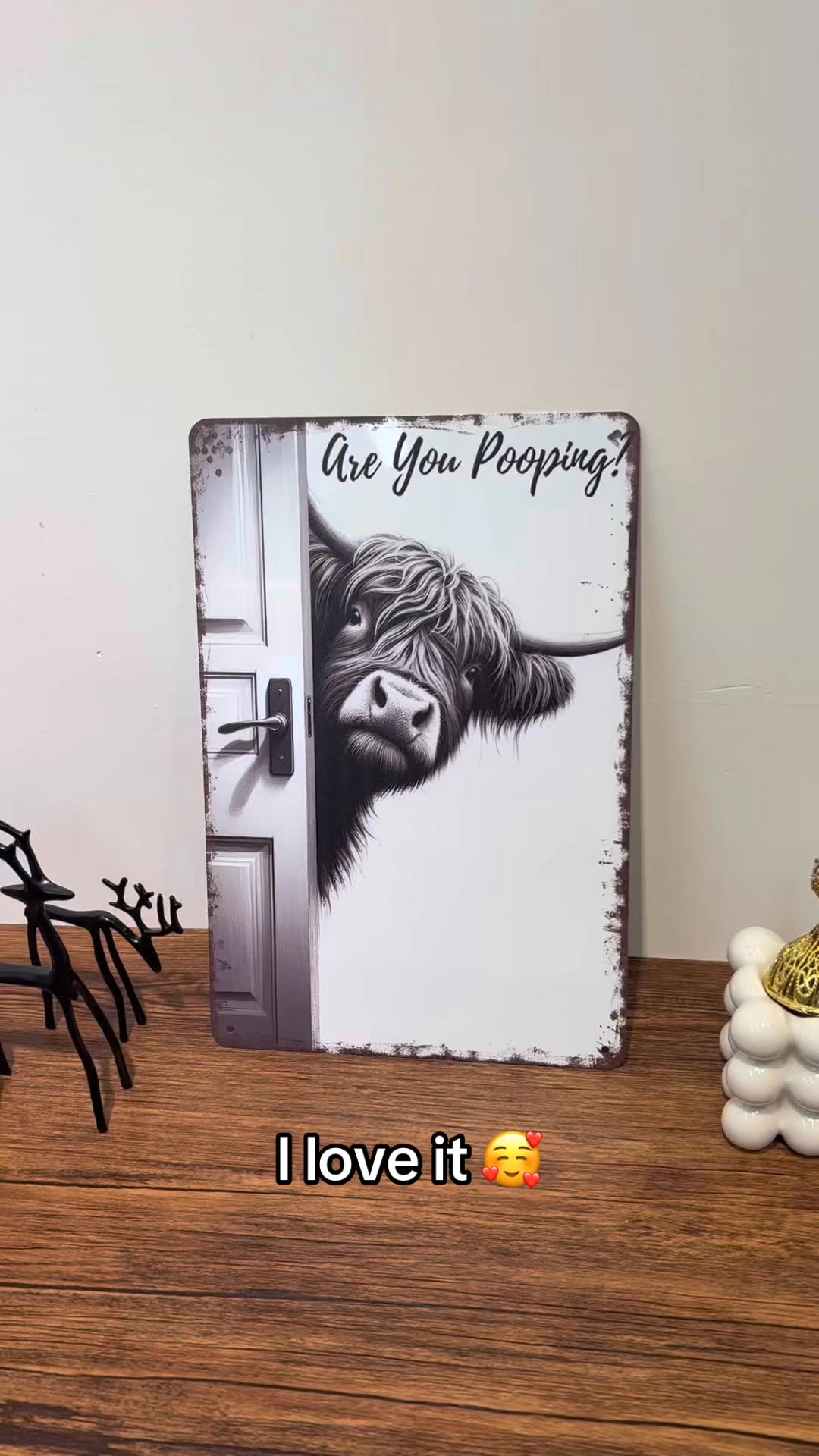 Vintage Black & White Humor Metal Sign - Bathroom Humor Done Right