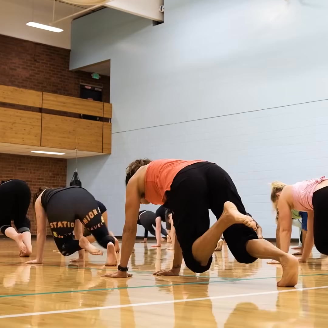 Animal Flow Workshops Near You