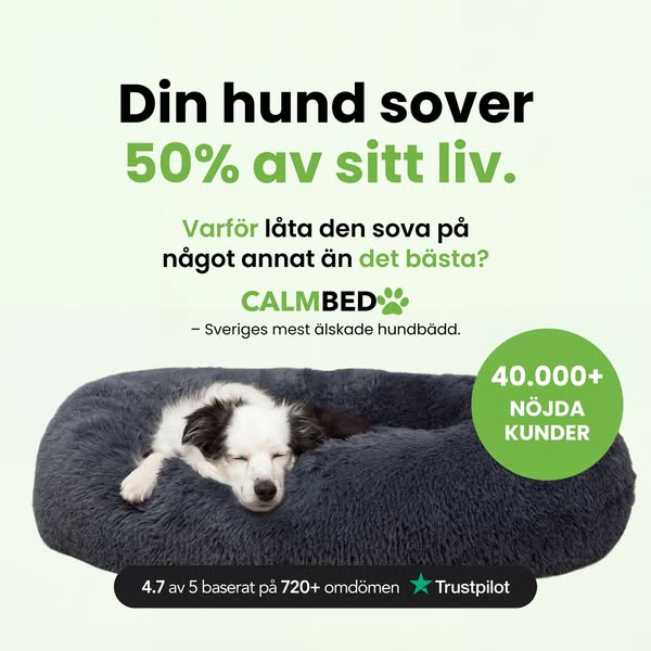 Snabb & Gratis Frakt