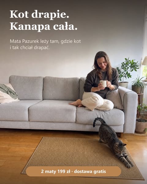 Kot drapie. Kanapa cała.