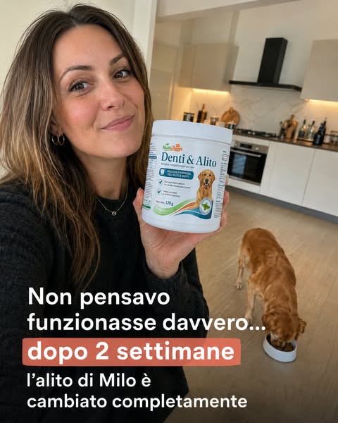 SODDISFATTO O RIMBORSATO