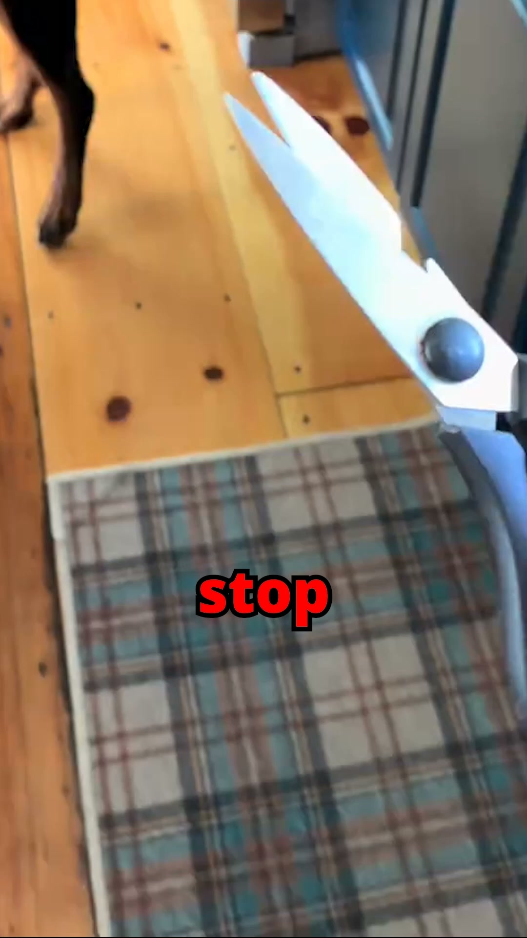 The Ultimate Stress-Free Pet Trimmer