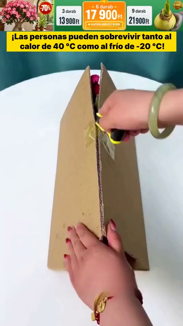 Anúncio de Geulri Hot Hauls