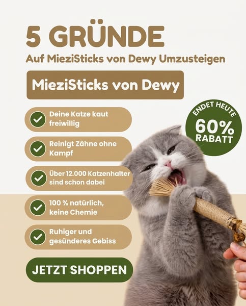 Natürliche Matatabi-Sticks gegen destruktives Kauen und für gesunde Zähne
