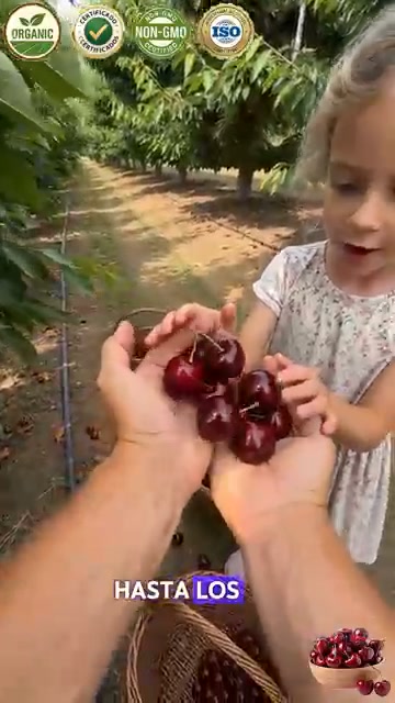 【HAZ CLIC AQUÍ Y CONSIGUE TU CEREZO REGINA PARA COSECHAR EN 5 MESES】