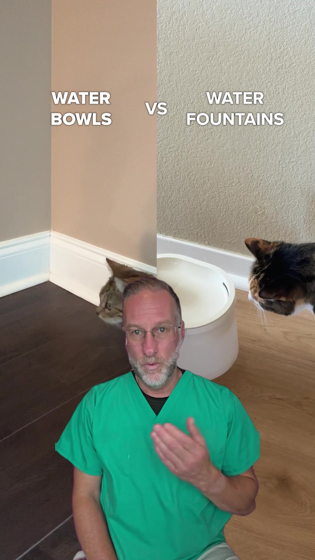 This Is A Must-Have For All Cat Parents!