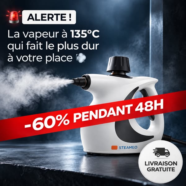 60 % PENDANT 48H + LIVRAISON GRATUITE