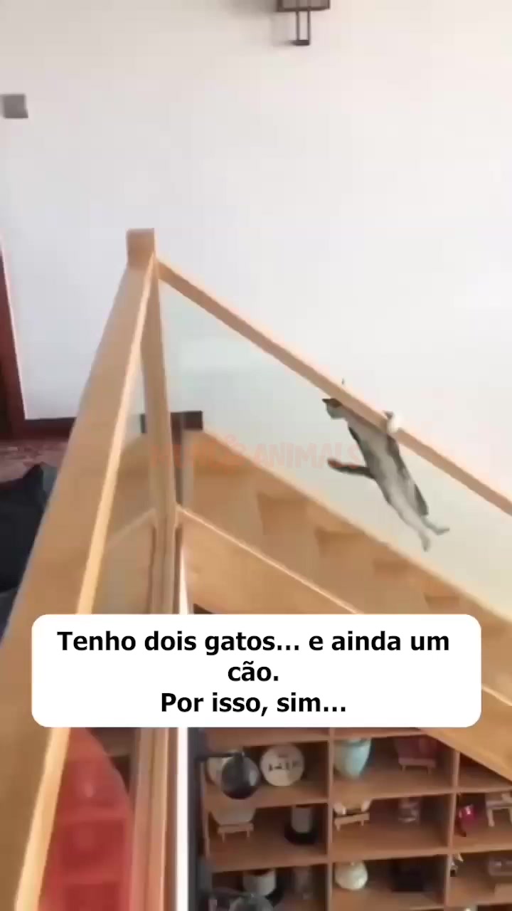 Paga na entrega + receba em 24/48h �